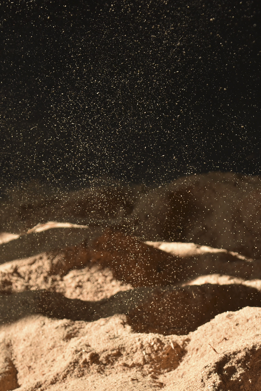 MAIDEN 2024 LOOKBOOK