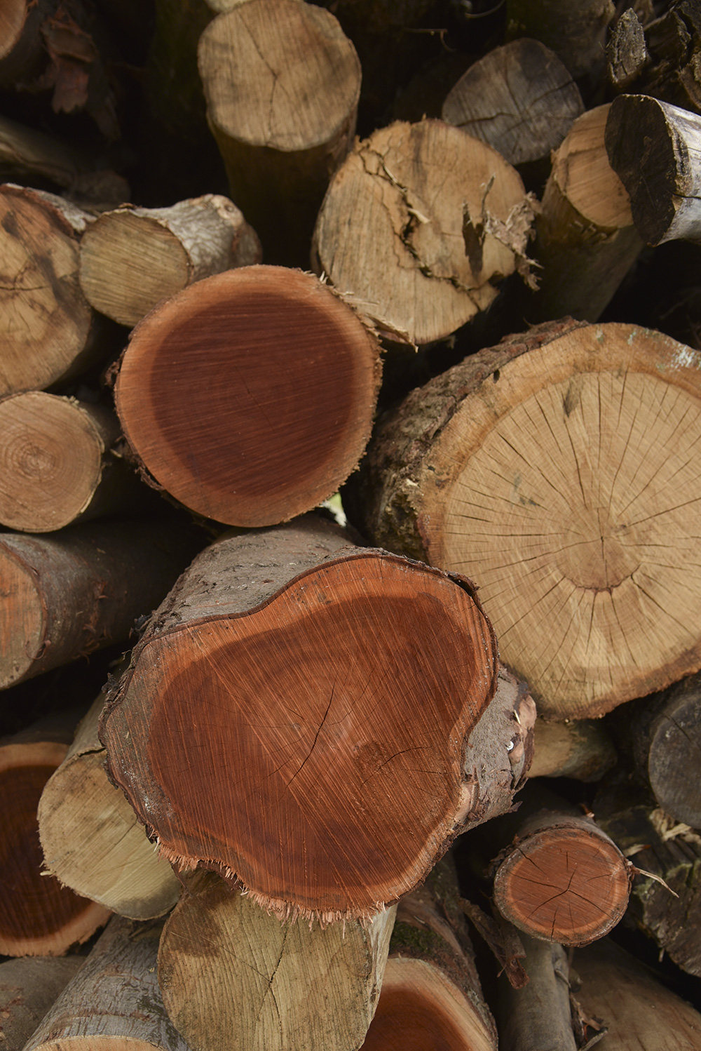 MAIDEN 2024 LOOKBOOK