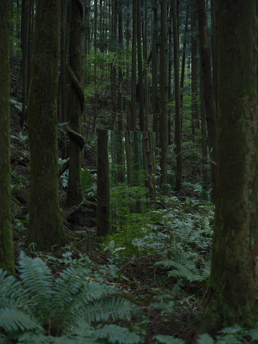 MAIDEN 2025 LOOKBOOK